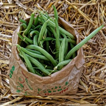 Haricots verts (500g)