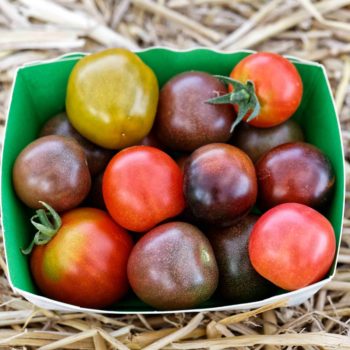 Tomates cerises (250g)