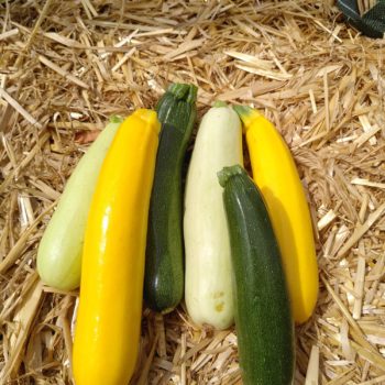 Courgettes (700g)